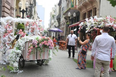 Primavera Criativa vai transformar Santos em palco de arte, cultura e conexão